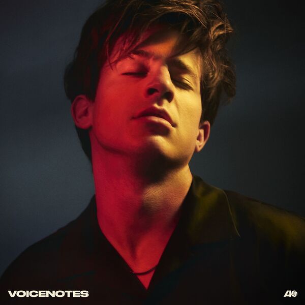 名称：《Charlie Puth - Voicenotes (2018) [24-44 FLAC]》亮点：Charlie Puth展现成熟音乐风格，融合流行与R&B，声线迷人，制作精良，每首歌曲都充满情感与节奏感