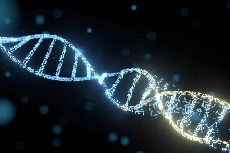 《.分子生物学 》简介：研究生物大分子如DNA、RNA和蛋白质的结构与功能，通过基因表达调控、信号传导等机制揭示生命活动本质