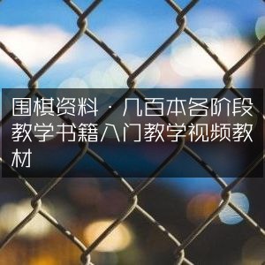📚名称：《围棋资料·几百本各阶段教学书籍+入门教学视频+教材》📝简介：本套围棋资料汇集了几百本各阶段教学书籍，涵盖从入门到高级的全方位内容，搭配详细的入门教学视频和实用教材，适合不同水平的围棋爱好者系统学习与提升棋艺