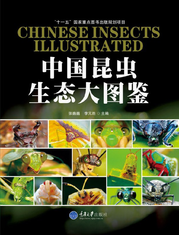 《 中国昆虫生态大图鉴 初级观赏动物饲养工培训考试教程  5本PDF格式动物相关类电子书》简介：本书提供了关于 中国昆虫生态大图鉴 初级观赏动物饲养工培训考试教程  5本PDF格式动物相关类电子书的深度解析，涵盖其发展背景、核心概念以及实际应用
