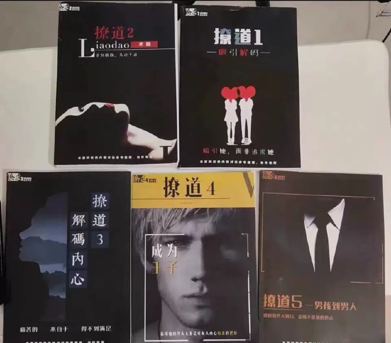《绝版男生恋爱书籍：撩道1-5系列》简介：本书提供了关于绝版男生恋爱书籍：撩道1-5系列的深度解析，涵盖其发展背景、核心概念以及实际应用