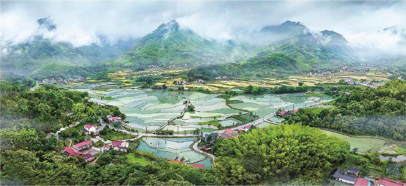 名称：《美丽安徽》王越简介：《美丽安徽》由王越创作，是一本介绍安徽风貌的书籍