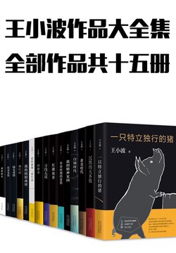 《王小波作品全集》简介：本书系统解析王小波作品全集的核心内容，并结合实用案例帮助读者加深理解