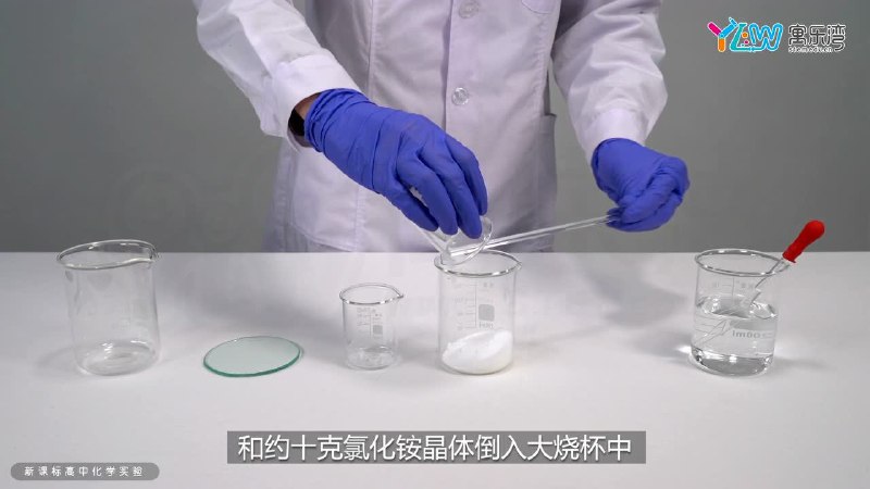 【资料】名称：新课标高中化学实验教学视频|简介：《新课标高中化学实验教学视频》是一项跨学科的学习资源，结合了多方面的知识与技巧
