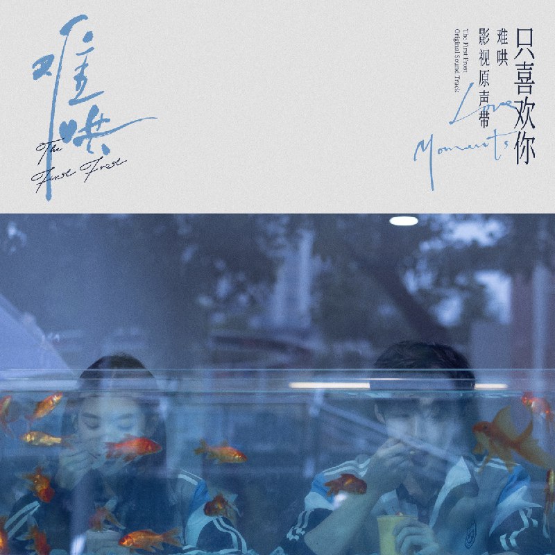 名称：《群星 - 电视剧难哄影视原声带·只喜欢你Love Moments》简介：《群星 - 电视剧难哄影视原声带·只喜欢你Love Moments》是电视剧《难哄》的影视原声带