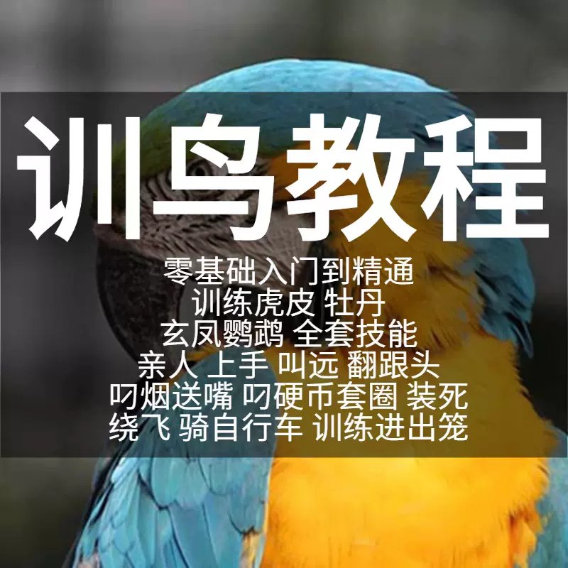 名称：《训鸟教程零基础学习 训鸟虎皮牡丹玄凤鹦鹉训练》亮点：从零开始轻松掌握训鸟技巧，适合虎皮、牡丹、玄凤鹦鹉爱好者，快速建立亲密互动标签：#训鸟入门 #虎皮鹦鹉训练 #牡丹鹦鹉技巧 #玄凤鹦鹉驯养 #宠物教学更新日期：2025-06-17 05:35:19链接：