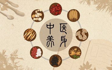 《养生保健》简介：本书提供了关于养生保健的深度解析，涵盖其发展背景、核心概念以及实际应用
