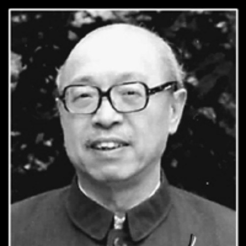 📚名称：《回望流年——李新忆救亡与抗战》⭐亮点：李新亲历救亡与抗战的珍贵回忆，展现民族危亡时刻的坚韧与担当，历史细节感人至深