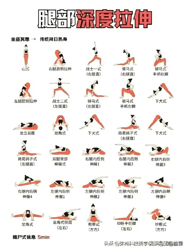 名称：《瑜伽主题排课 》简介：瑜伽主题排课这门课程为学习者提供了全面的知识和技巧，涵盖了从基础到进阶的多项内容