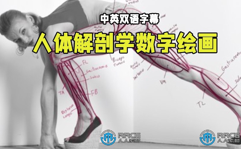 【资料】名称：解剖学图书+视频教程资源 | 简介：《解剖学图书+视频教程资源》是一门覆盖广泛的实用课程，旨在为学员提供从基础到进阶的学习内容，无论是理论知识还是实际操作技巧，都能帮助学员在相关领域中获得深入的理解和应用能力