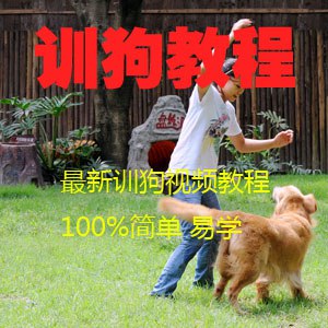 名称：《20节狗狗基本训练技巧视频教程》亮点：20节视频轻松掌握狗狗训练技巧，从基础指令到行为纠正，助你成为专业训犬师标签：#狗狗训练 #20节狗狗基本训练技巧视频教程 #宠物教学更新日期：2025-05-29 22:54:08链接：