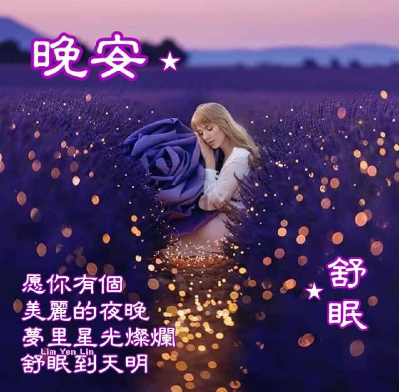 《好梦好眠》简介：本书系统解析好梦好眠的核心内容，并结合实用案例帮助读者加深理解