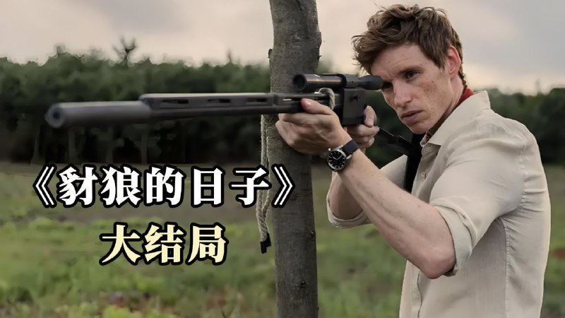 名称：《豺狼的日子 10集已完结》亮点：紧张刺激的暗杀对决，高智商犯罪与反犯罪的巅峰较量，剧情紧凑反转不断