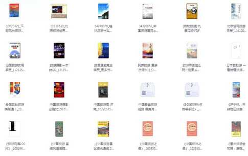 【资料】名称：《旅游爱好书籍合集旅行类必看的好书[pdf]》|简介：这是一本关于旅游的书籍合集，以 pdf 格式呈现