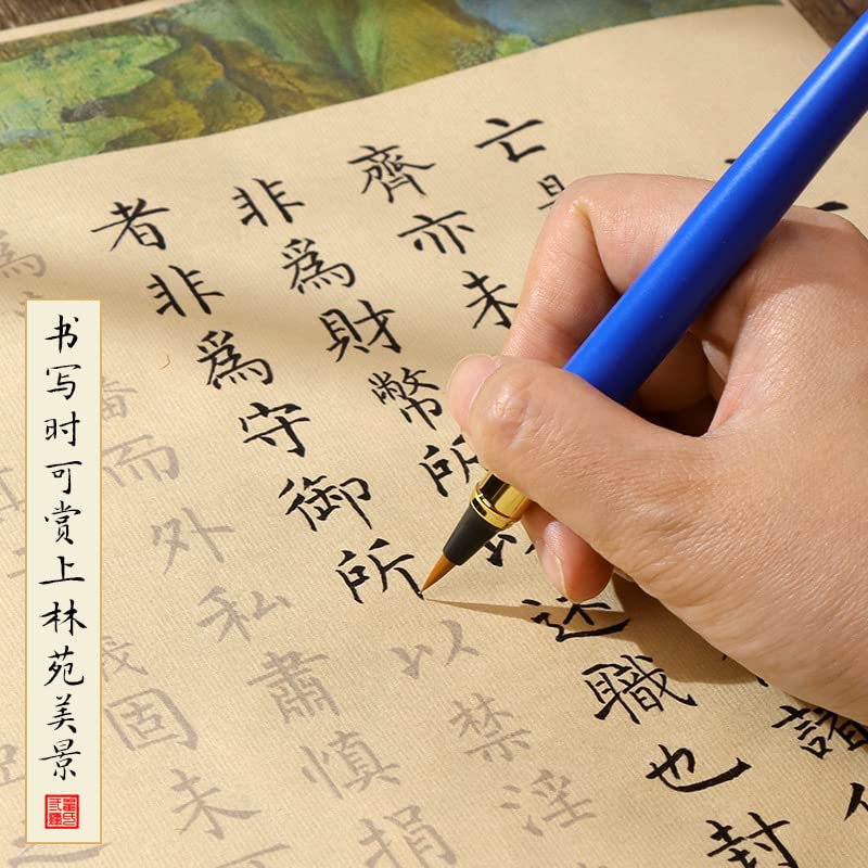 名称：《毛笔、硬笔书法临摹》亮点：专业临摹教程，提升书法技巧，适合初学者和进阶者，涵盖毛笔与硬笔书法精髓