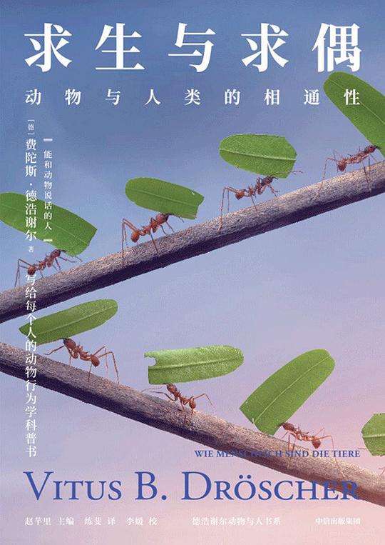 名称：《求生与求偶》简介：在极端环境下，参与者面临生存挑战与情感抉择的双重考验