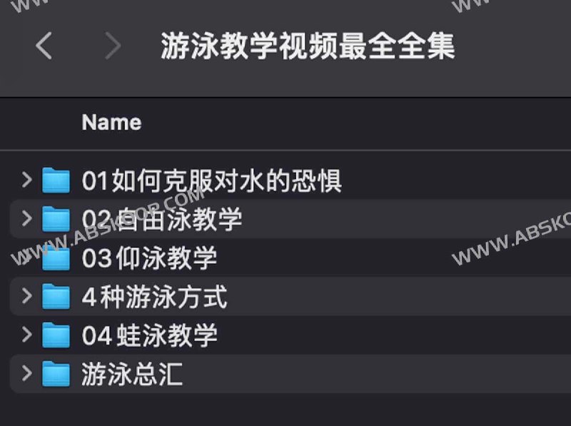 《游泳教学视频最全全集》简介：本书提供了关于游泳教学视频最全全集的深度解析，涵盖其发展背景、核心概念以及实际应用