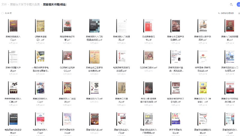 名称：《黑客技术学习书籍大合集》简介：《黑客技术学习书籍大合集》收集了众多与黑客技术相关的学习书籍，涵盖网络安全、编程技术、系统漏洞挖掘等多个方面