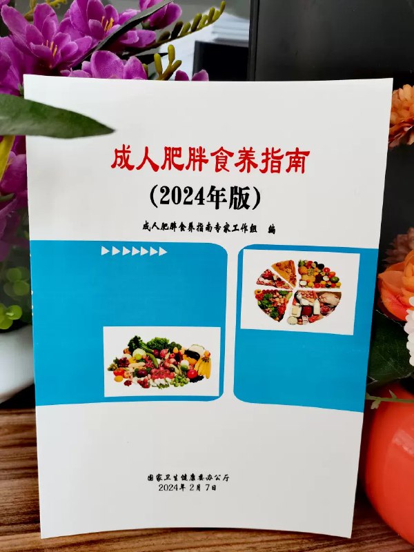 名称：《食养指南（2024年版）》|简介：《食养指南（2024年版）》是一本关于饮食养生的专业书籍