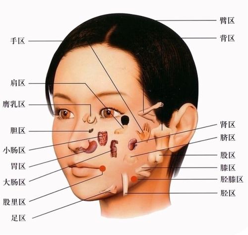 《王涛面诊基础望诊色诊眼诊望眉六经面诊自学教程高清》简介：本书系统解析王涛面诊基础望诊色诊眼诊望眉六经面诊自学教程高清的核心内容，并结合实用案例帮助读者加深理解