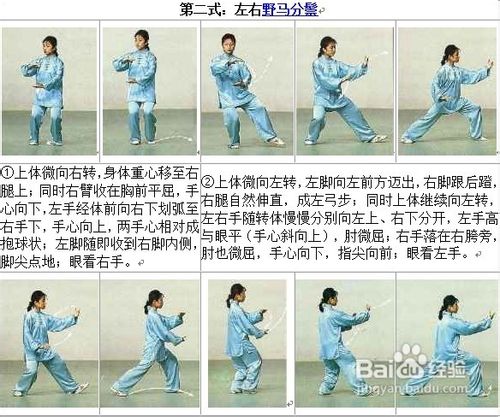 名称：《太极拳教程》 | 简介：太极拳教程这本书带给读者一个新鲜的视角，无论是在探索历史、社会还是文化方面，它都能为你提供独特的深度和思考