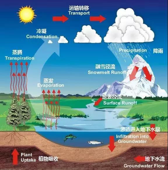 《水文学 》简介：研究地球水体的分布、循环及其与自然环境相互作用的学科，涵盖降水、径流、蒸发等过程