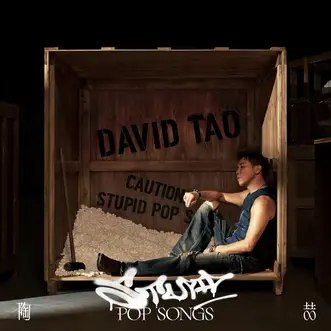 名称：《陶喆DavidTao-StupidPopSong(2025)(FLAC24bit_48kHz)》简介：这是陶喆在2025年发行的歌曲《StupidPopSong》，采用FLAC格式，24bit深度和48kHz采样率保证了高音质
