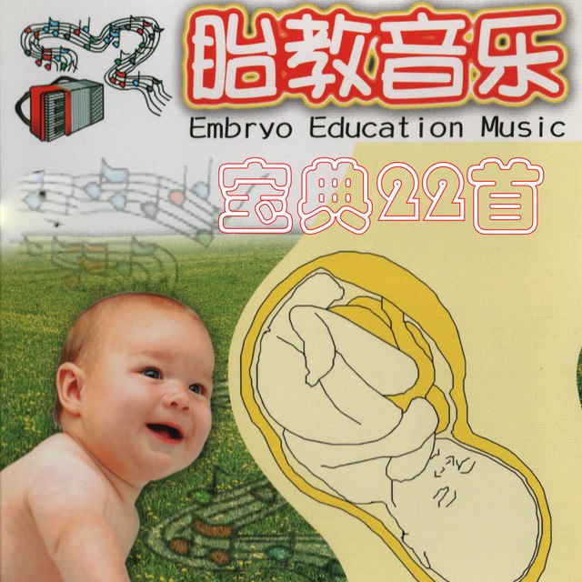 📚名称：《胎教音乐2.67GB》⭐亮点：精选世界名曲与自然白噪音，科学编排促进胎儿大脑发育，让宝宝在母体中感受音乐的魅力