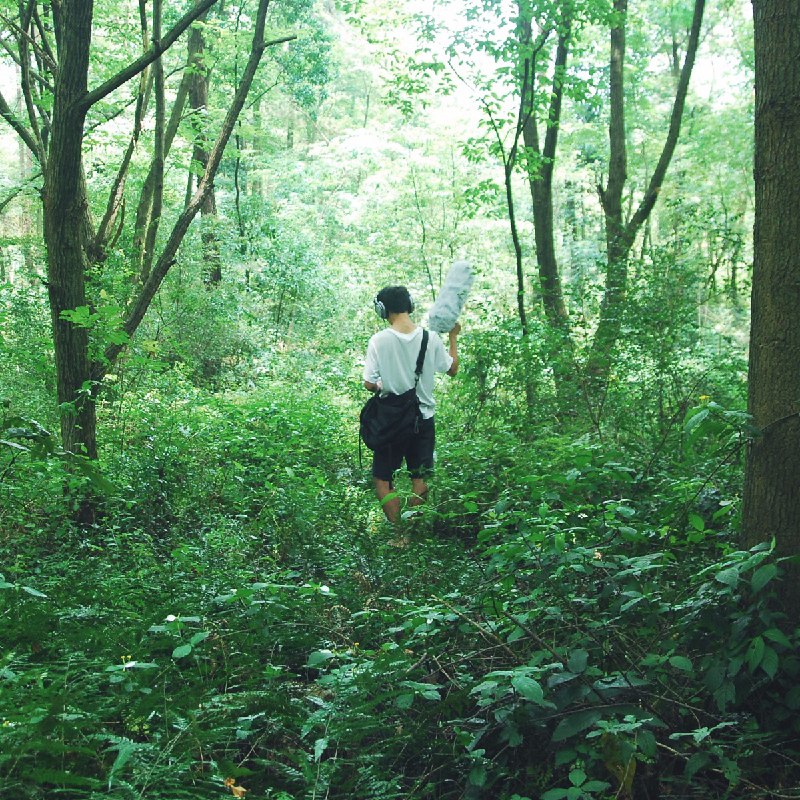 名称：《雨声催眠_自然声音_白噪音》亮点：轻柔雨声抚慰心灵，助你快速入眠，享受深度休息标签：#白噪音  #雨声催眠  #自然声音  #助眠音乐  #放松解压更新日期：2025-05-29 23:03:47链接：