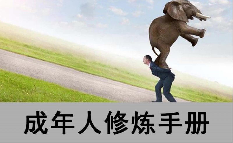 名称：《成年人修炼手册（一套4本合订版）》 | 简介：成年人修炼手册（一套4本合订版）这本书带给读者一个新鲜的视角，无论是在探索历史、社会还是文化方面，它都能为你提供独特的深度和思考