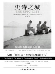 《史诗之城：在加尔各答的街头世界》简介：本书提供了关于史诗之城：在加尔各答的街头世界的深度解析，涵盖其发展背景、核心概念以及实际应用