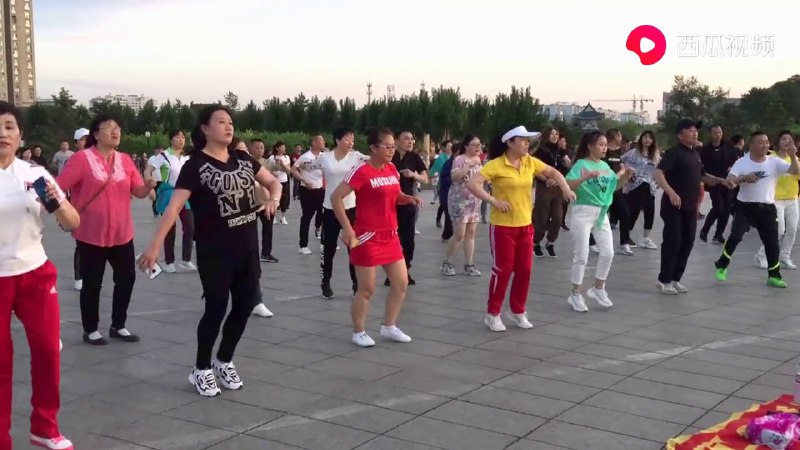 【资料】名称：广场舞 视频|简介：《广场舞 视频》是一项跨学科的学习资源，结合了多方面的知识与技巧