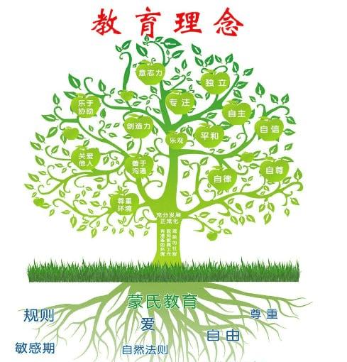 《周轶君：教育观念20讲【完结】》简介：本书系统解析周轶君：教育观念20讲【完结】的核心内容，并结合实用案例帮助读者加深理解