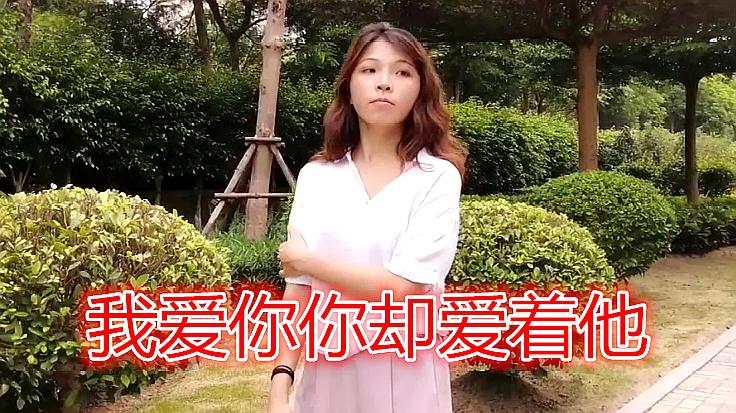 《黑龙歌曲合集  》简介：精选华语流行歌手黑龙的多首代表作，涵盖深情情歌与动感流行曲风