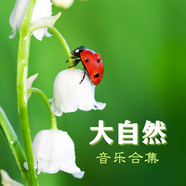 名称：《大自然助眠音乐合集》亮点：精选自然原声与舒缓旋律，助你快速入眠，享受深度休息标签：#助眠音乐 #大自然助眠音乐合集 #放松解压更新日期：2025-06-08 22:22:03链接：