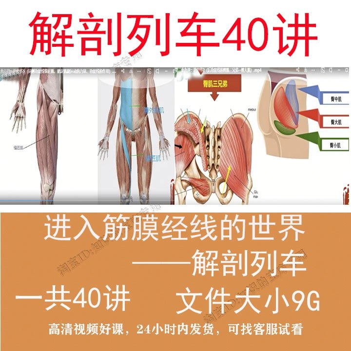 名称：《解剖资料视频教学 》 | 简介：解剖资料视频教学这门课程为学习者提供了全面的知识和技巧，涵盖了从基础到进阶的多项内容