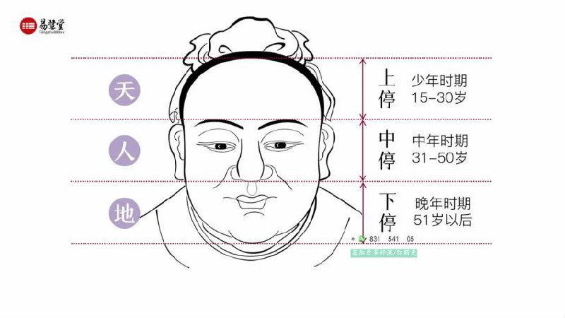 【资料】名称：邹庆-给忙碌者的识人锦囊面相学简明入门教程|简介：《邹庆-给忙碌者的识人锦囊面相学简明入门教程》是一项跨学科的学习资源，结合了多方面的知识与技巧