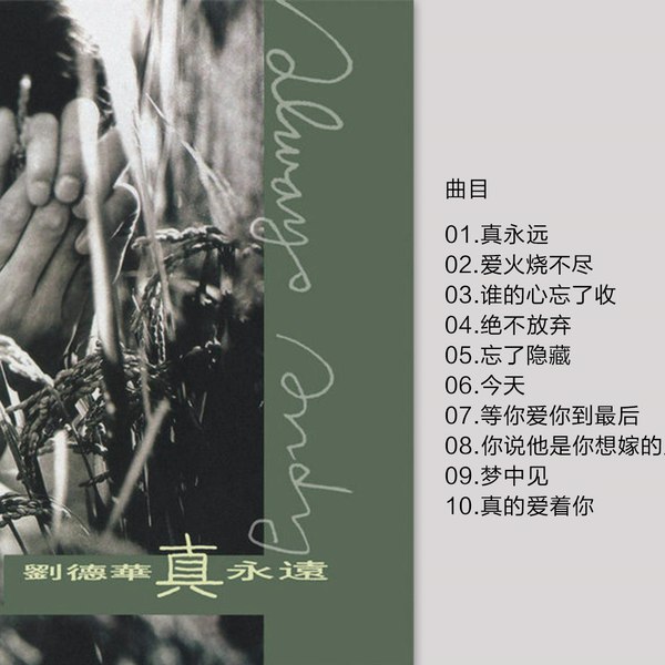【资料】名称：《刘德华 - 真永远 - 1995 Flac》|简介：刘德华 1995 年的经典歌曲《真永远》，以 Flac 无损格式保存