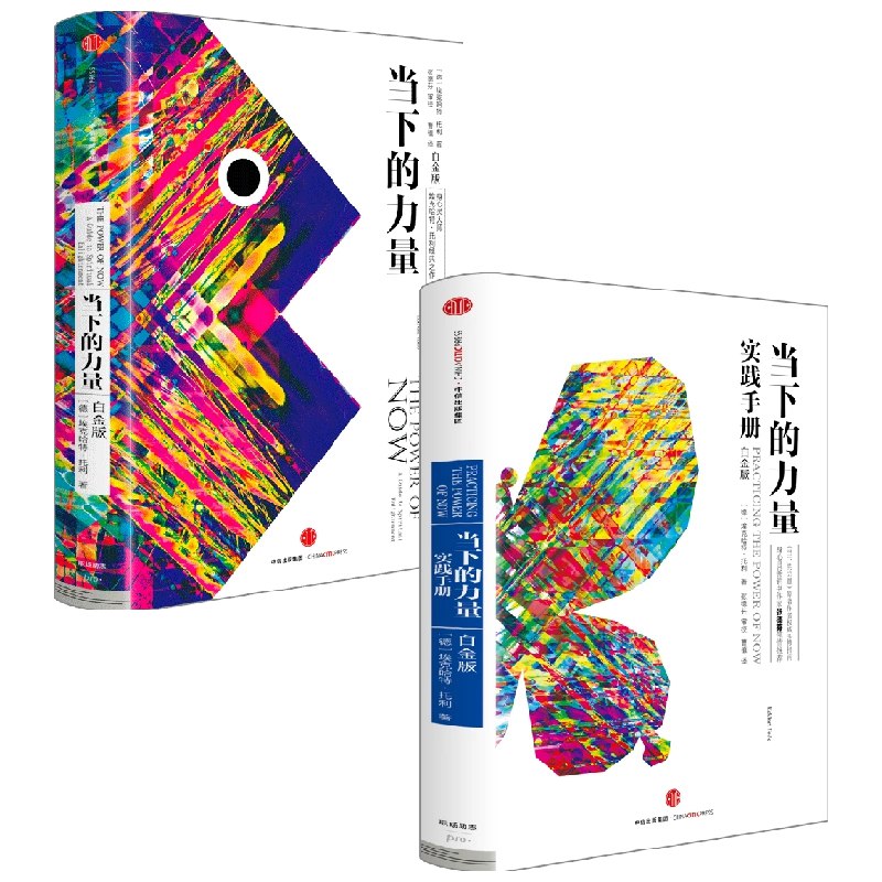 名称：《当下的力量+实践手册(套装共2册) 》|简介：如果你对当下的力量+实践手册(套装共2册)感兴趣，这本书课程提供了全面的理论知识与实操技能