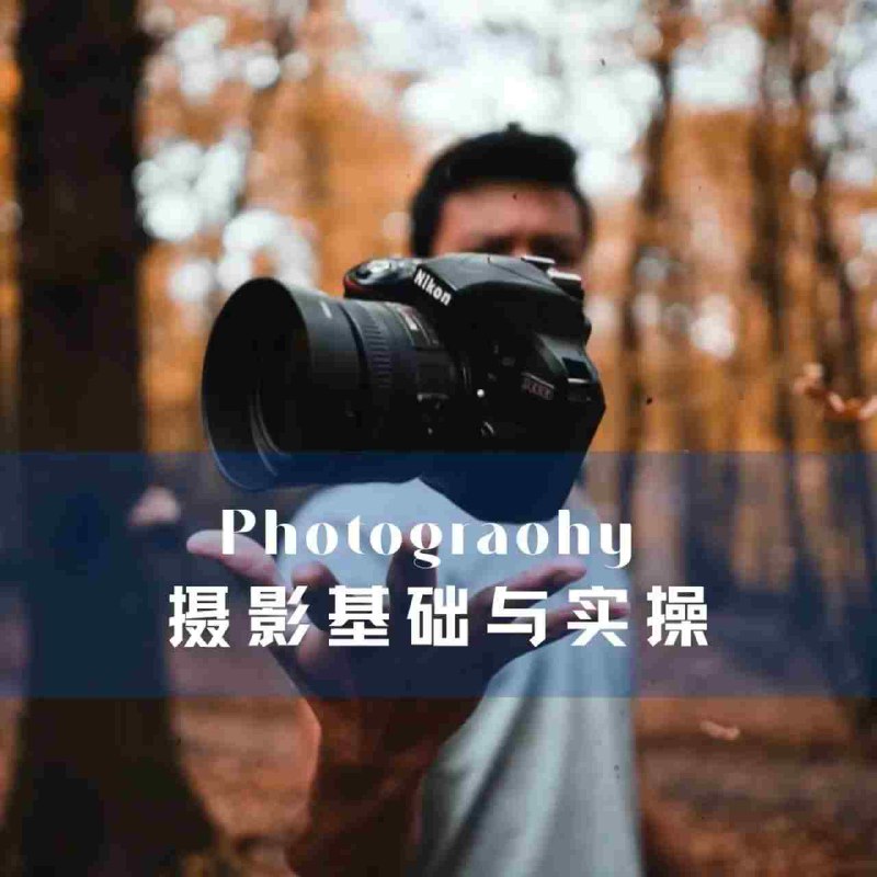 《猫的树摄影课程  》简介：专为宠物摄影爱好者设计的实用课程，聚焦猫咪拍摄技巧与艺术表达