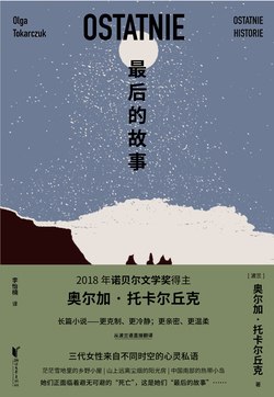 《最后的故事》简介：本书提供了关于最后的故事的深度解析，涵盖其发展背景、核心概念以及实际应用