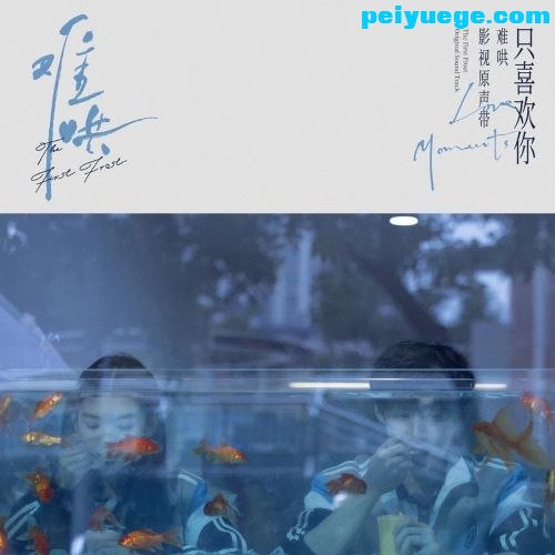 名称：《群星.2025 - 难哄 影视原声带【FLAC分轨】》简介：《群星.2025 - 难哄 影视原声带【FLAC分轨】》是2025年影视作品《难哄》的原声带，采用FLAC分轨格式
