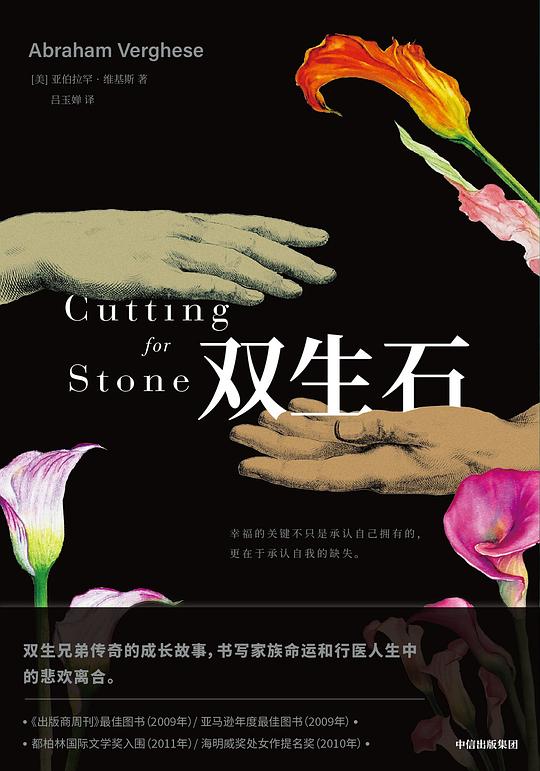 《双生石》简介：本书系统解析双生石的核心内容，并结合实用案例帮助读者加深理解