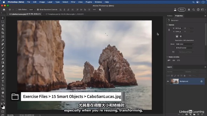 名称：《Photoshop 2025全面核心技术训练教程》简介：《Photoshop 2025全面核心技术训练教程》是围绕Photoshop 2025版本打造的全面教程，旨在帮助学习者系统掌握该软件的核心技术