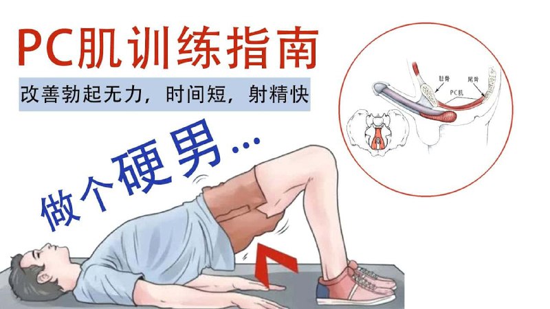 《每天10分钟，训练PC肌，提升xing福力（完结）》简介：本书提供了关于每天10分钟，训练PC肌，提升xing福力（完结）的深度解析，涵盖其发展背景、核心概念以及实际应用