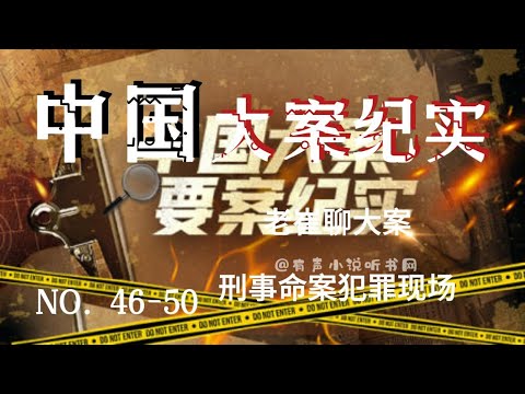 《共和国大案保字113案始末有声小说 全44集 纪实文学 封存了52年的惊天大案[mp3]》简介：建国初期一桩被列为绝密的重大案件首次曝光，通过大量原始档案与亲历者口述，还原案件侦破的曲折历程