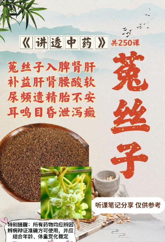《肾子阳杏功操作者达到纯阳深锁不泄》简介：一种传统养生功法，通过特定动作与呼吸调控强化生命能量，注重体内阳气固守与循环优化