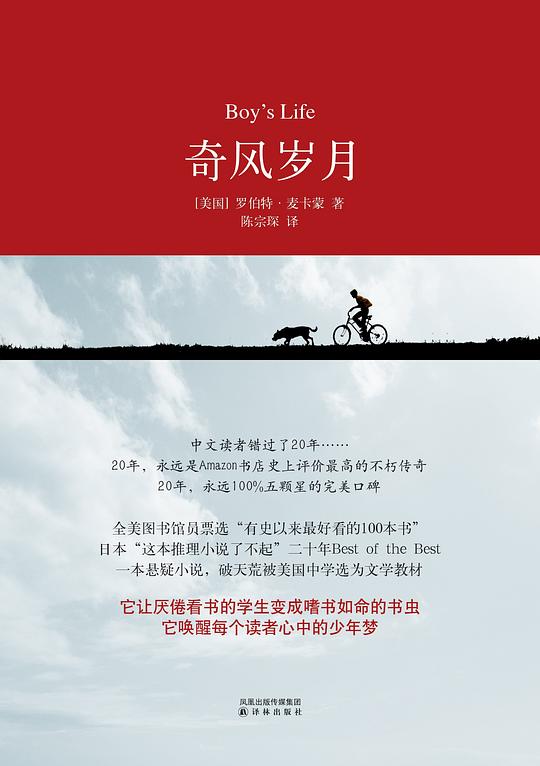 名称：《奇风岁月》简介：《奇风岁月》可能是一部充满奇幻与成长元素的作品