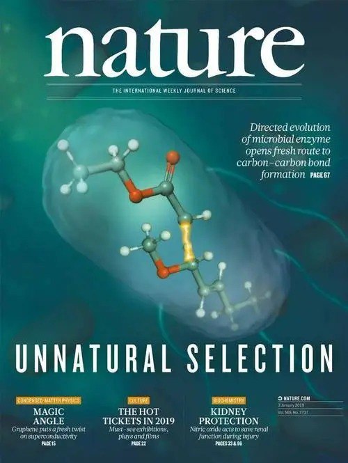 名称：《Nature》自然杂志 全球权威科研期刊   十年PDF合订本  稀缺资源描述：《Nature》自然杂志是全球最权威的科研期刊之一，自1869年创刊以来，一直致力于报道和评论科学领域的重大突破和前沿研究