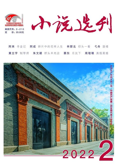 名称：《小说选刊》2022年合集描述：《小说选刊》2022年合集涵盖了该年度多期内容，包括中篇小说、短篇小说、创作谈、评论等多个栏目，集中推出了第八届鲁迅文学奖获奖作品，并刊发了王蒙、乔叶等知名作家的新作，以及“新时代文学攀登计划”入选作品，展现了新时代文学的卓越成就和作家的昂扬志向，题材多样，风格各异，质量上乘